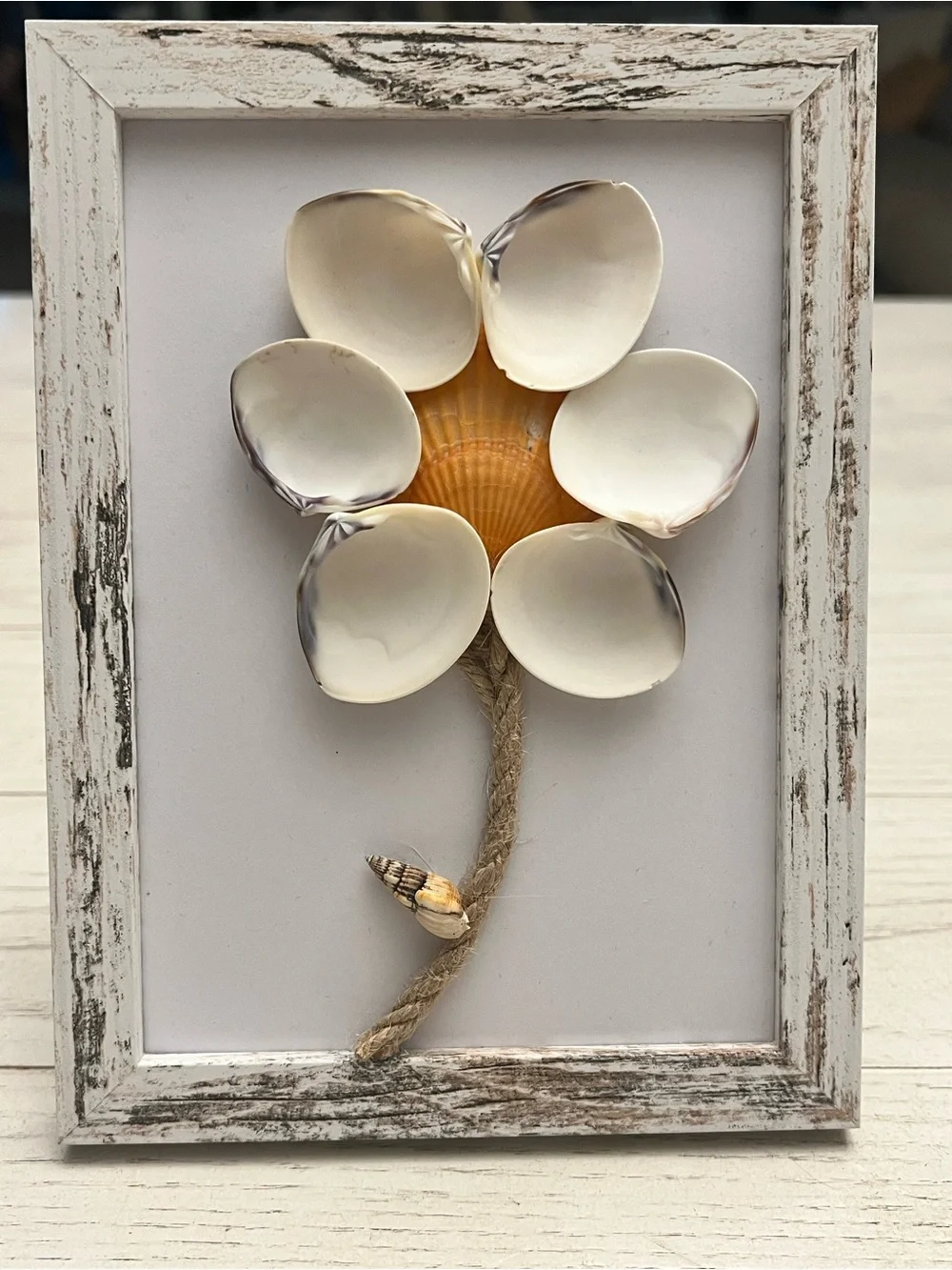 Handmade Seashell Flower Art in White Distressed Frame